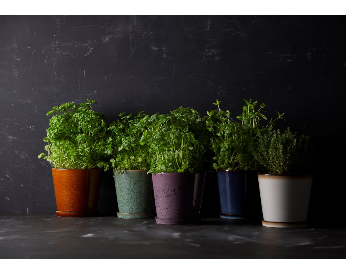 Bitz Skjuler 14 cm grøn/sort