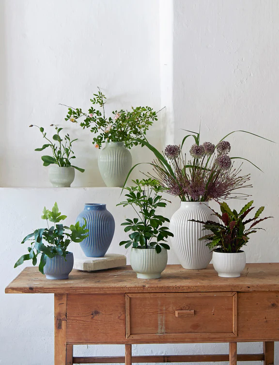 Knabstrup Urtepotteskjuler, Riller Hvid,