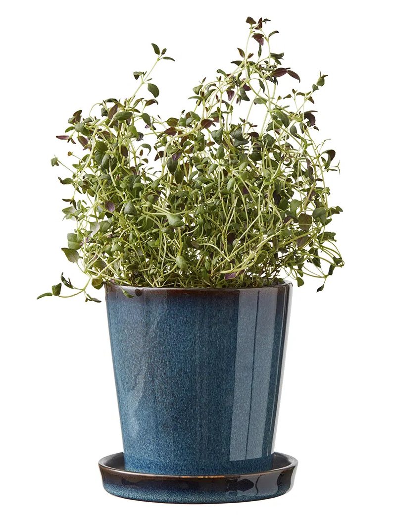 Mørkeblå