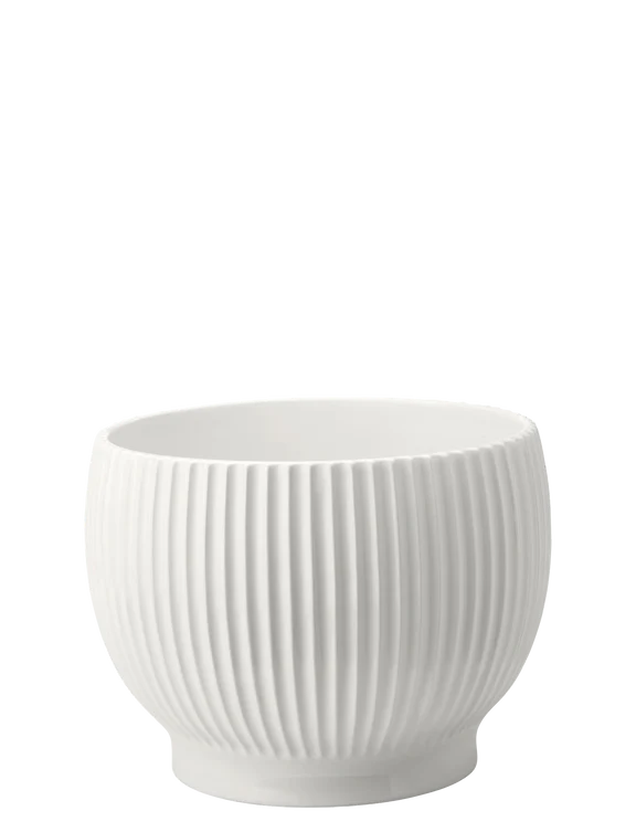 Knabstrup Urtepotteskjuler, Riller Hvid,