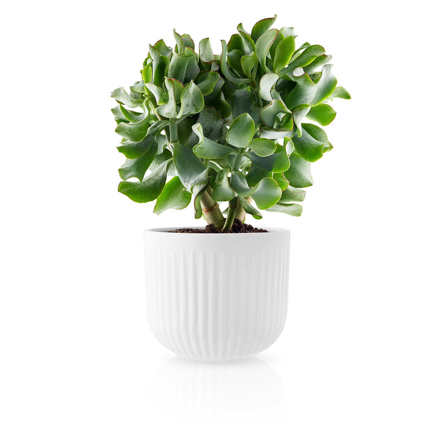 Eva Trio Legio Nova Urtepotteskjuler Ø15,5 cm.