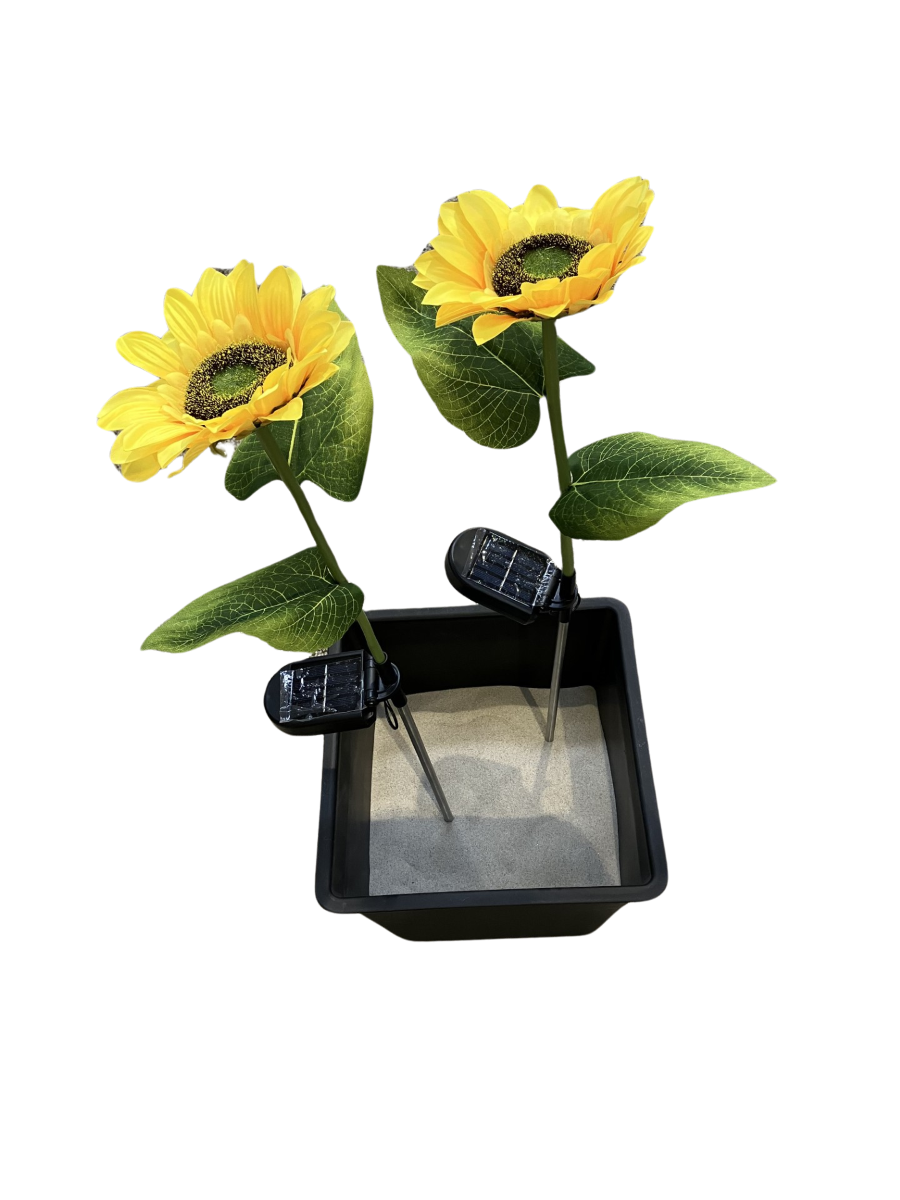 Conzept Solar blomst 2 stk. solsikke 75x46 cm.