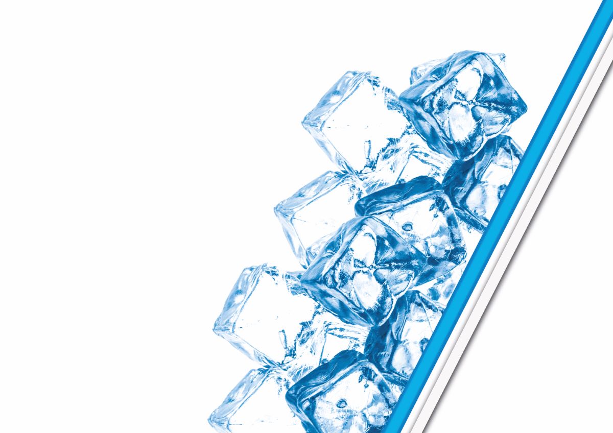 MasterSeal FRESH Icebox