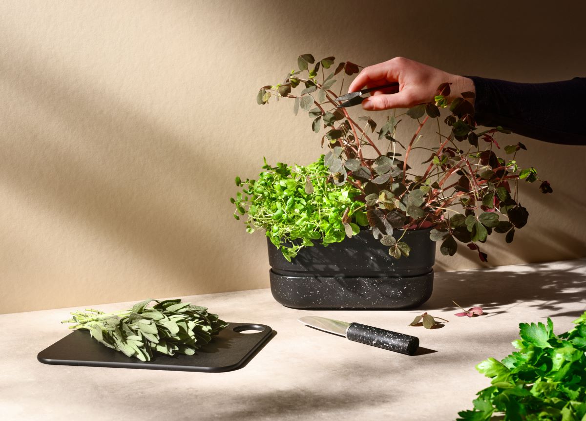 Stelton POT-IT urtekasse black