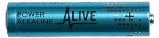 AAA alkaline batteri 10 pak