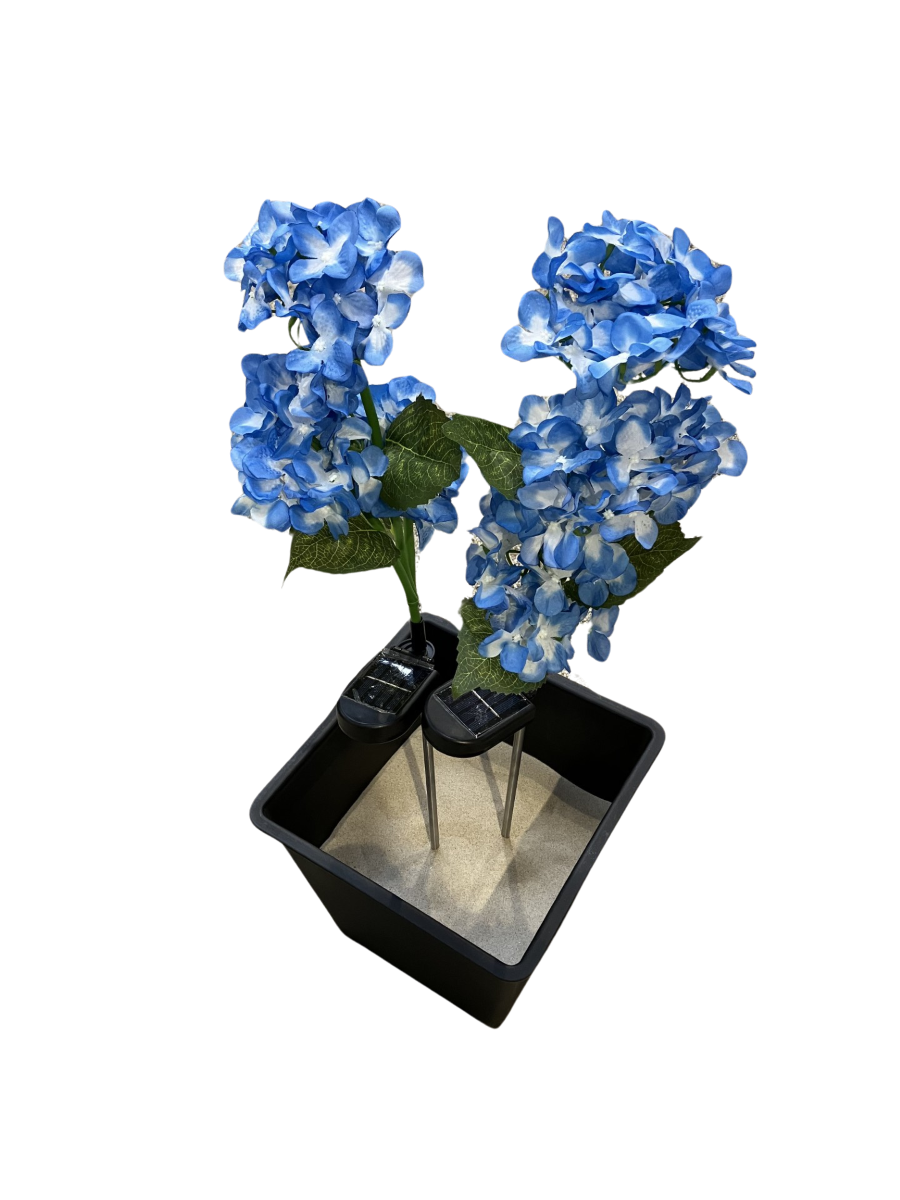 Hortensia